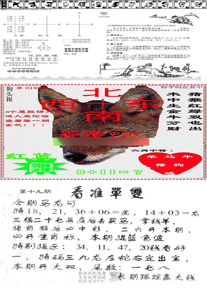 019期特码内幕B[图]