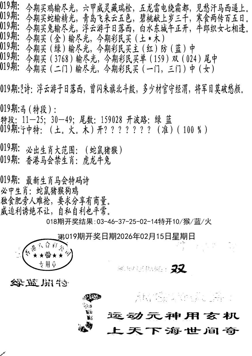 019期蛇报B[图]