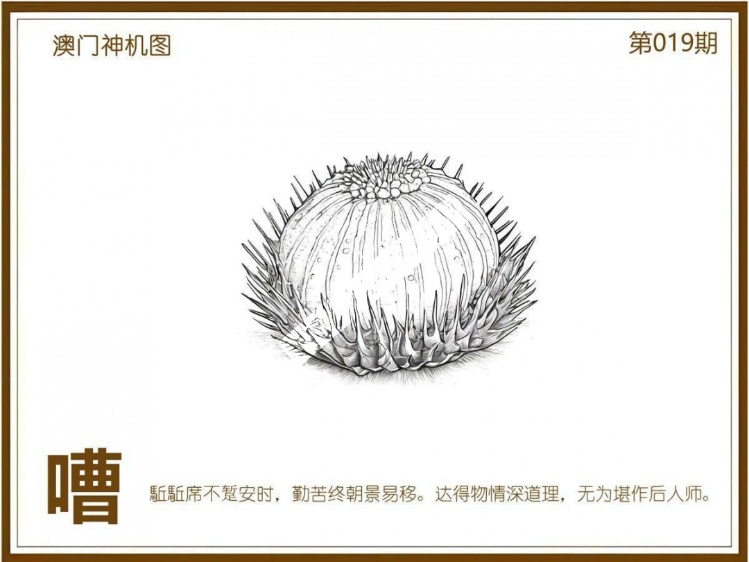 019期澳门神机图[图]